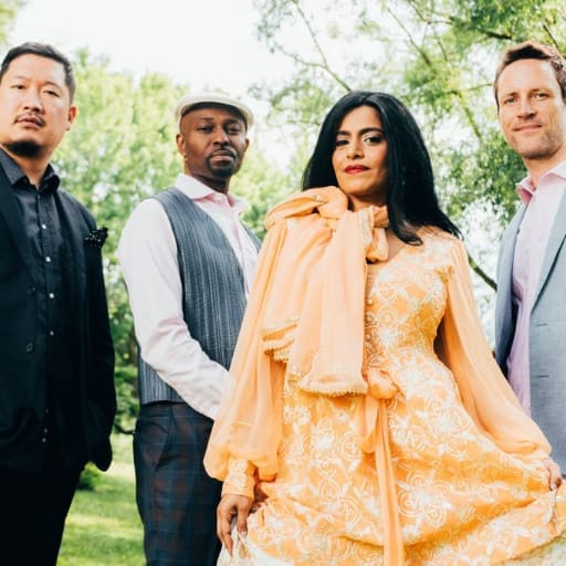 American Patchwork Quartet Concerts in Greenville