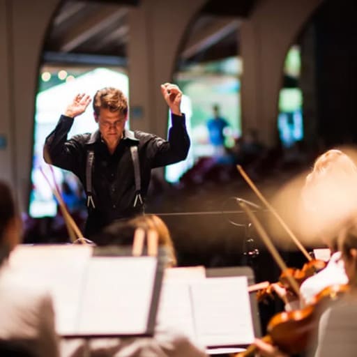 Brevard Sinfonia Concerts in Greenville